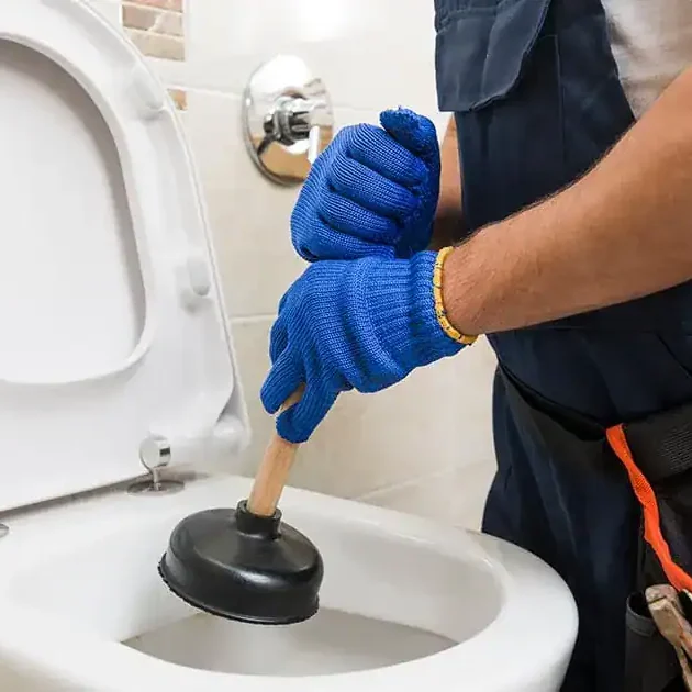 Toilet-Drain-Cleaning